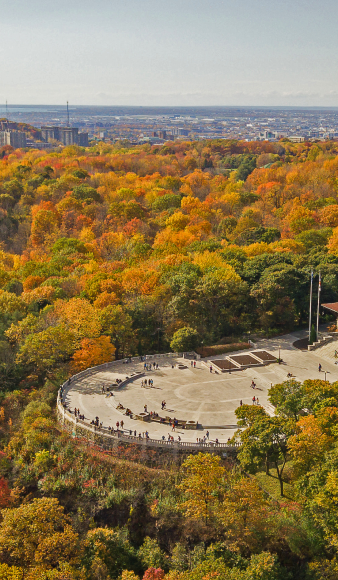fall colors with great view