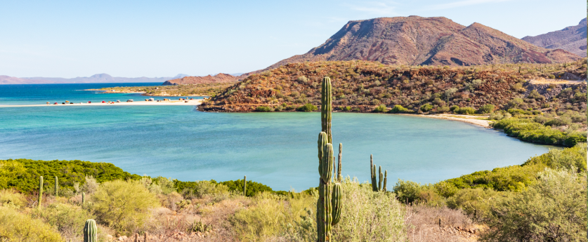 Travelzoo