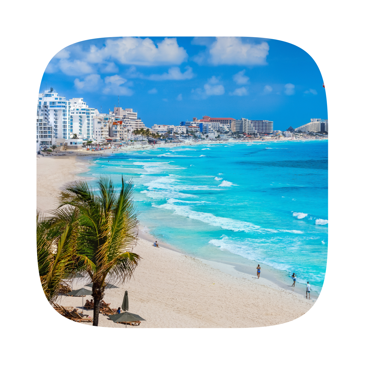 A wide, sandy beach with palm trees meets the turquoise ocean.