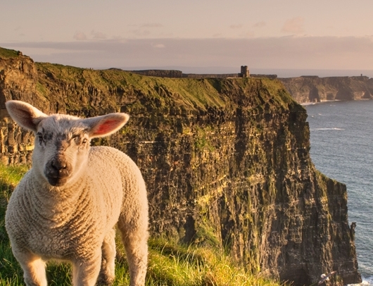 Cliffs of Moher