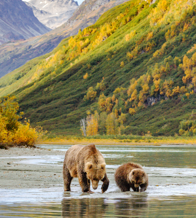 Travelzoo