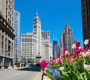 Image of Chicago