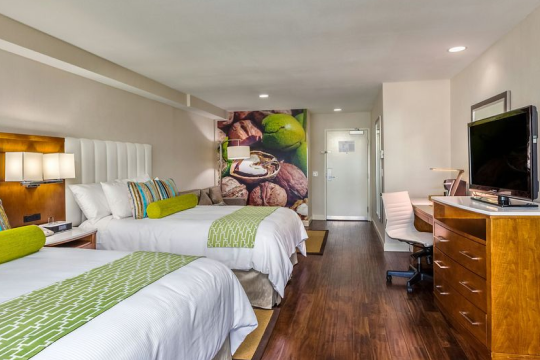 Hotel Indigo Anaheim By IHG