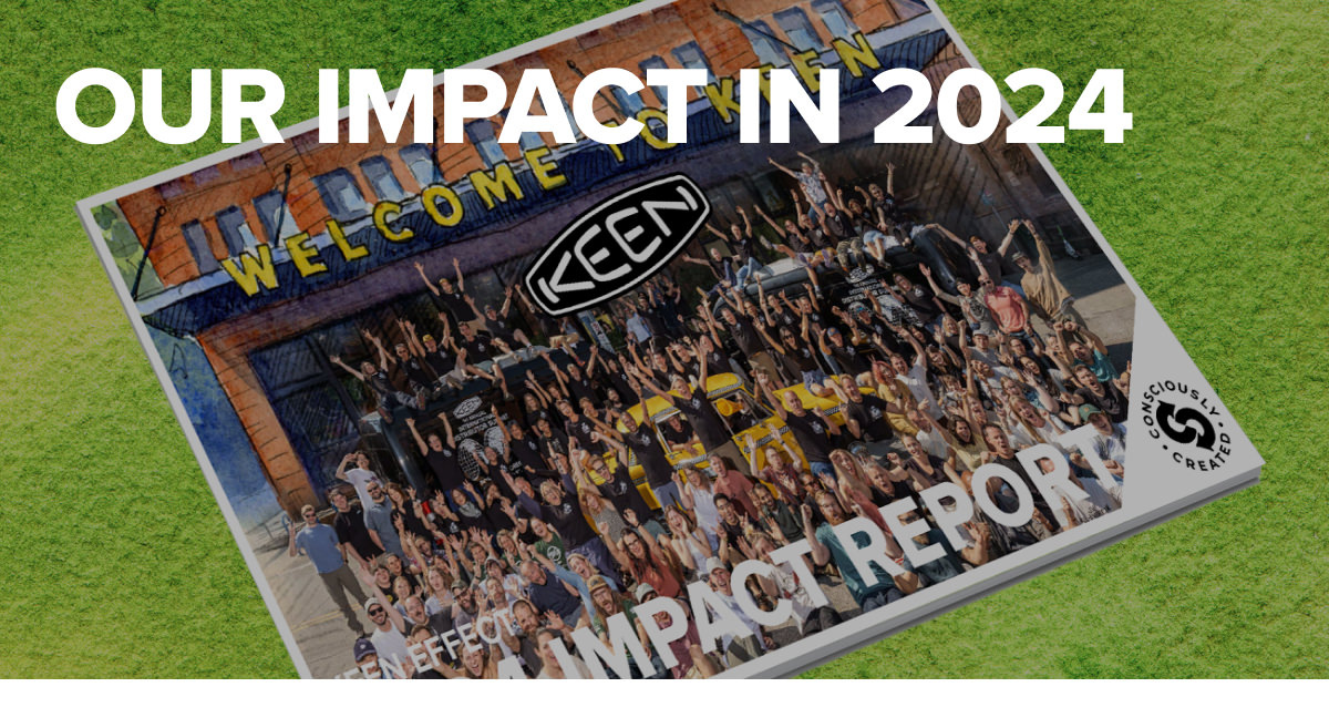 Impact Report