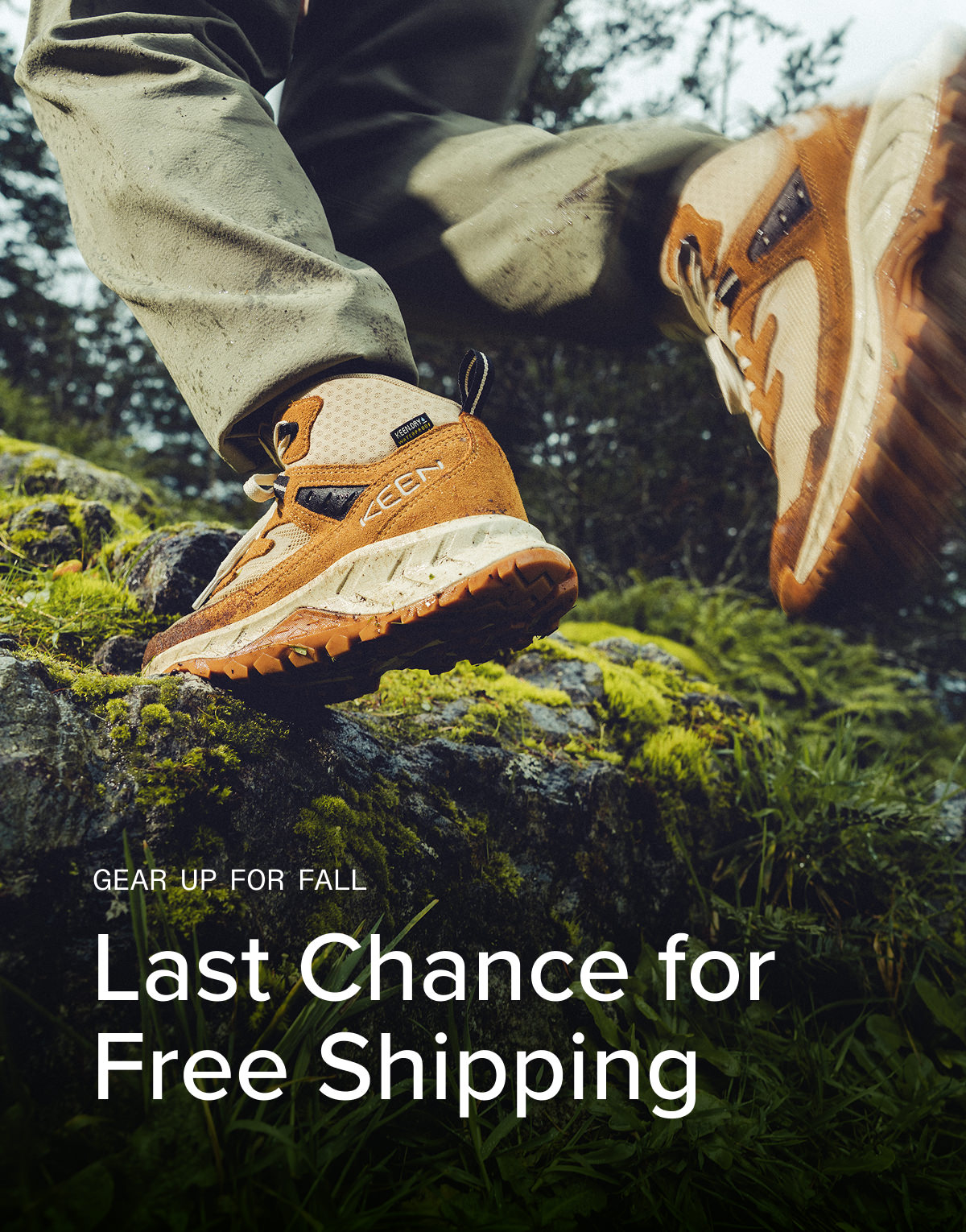 Free Shipping