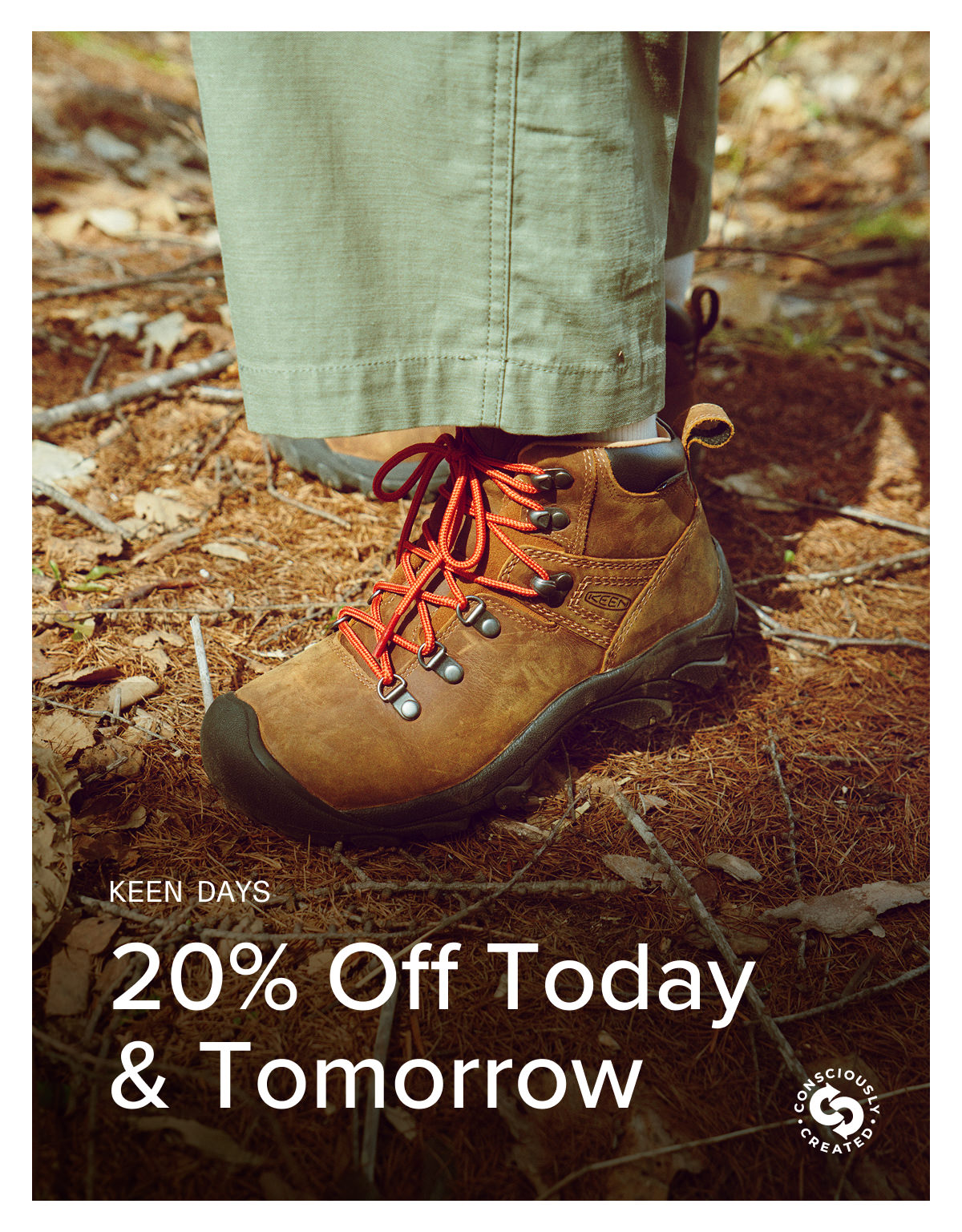 Flash Sale Alert!