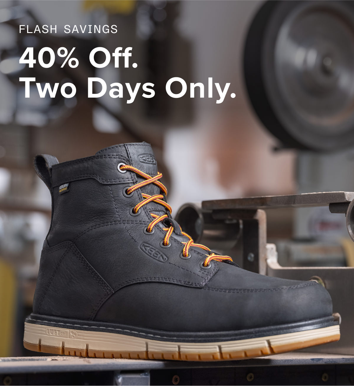 Flash Sale Alert!