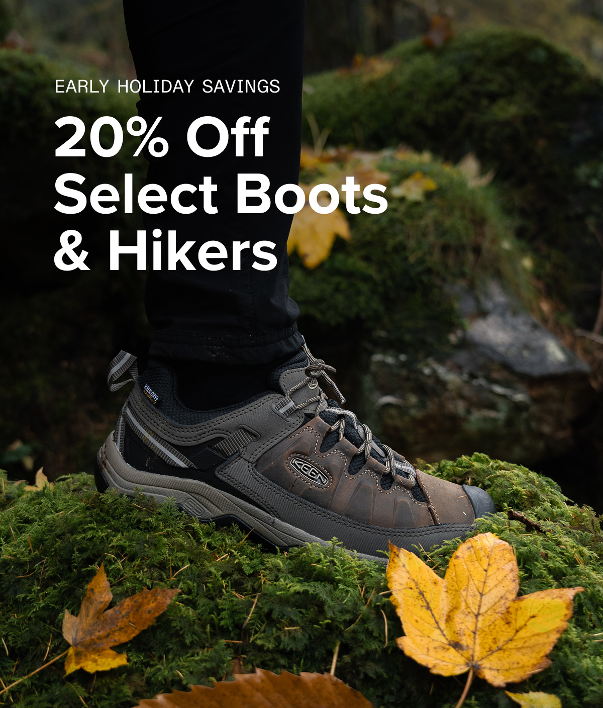 Hikers on sale