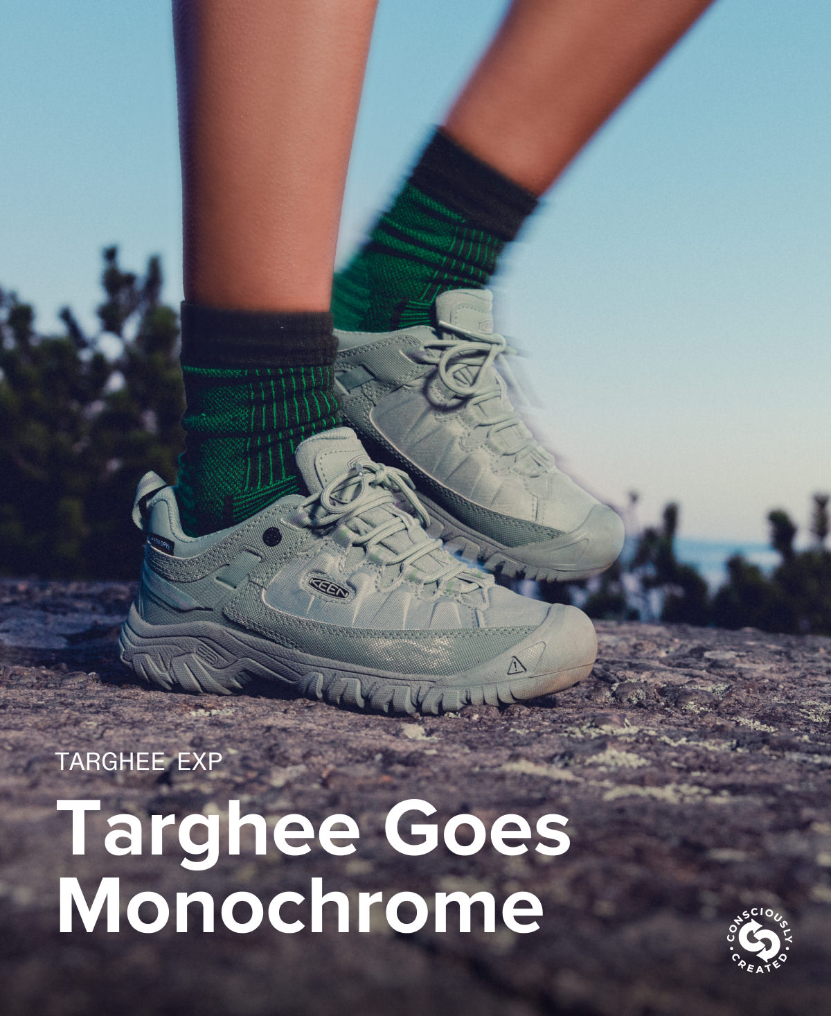 Targhee Goes Monochromes