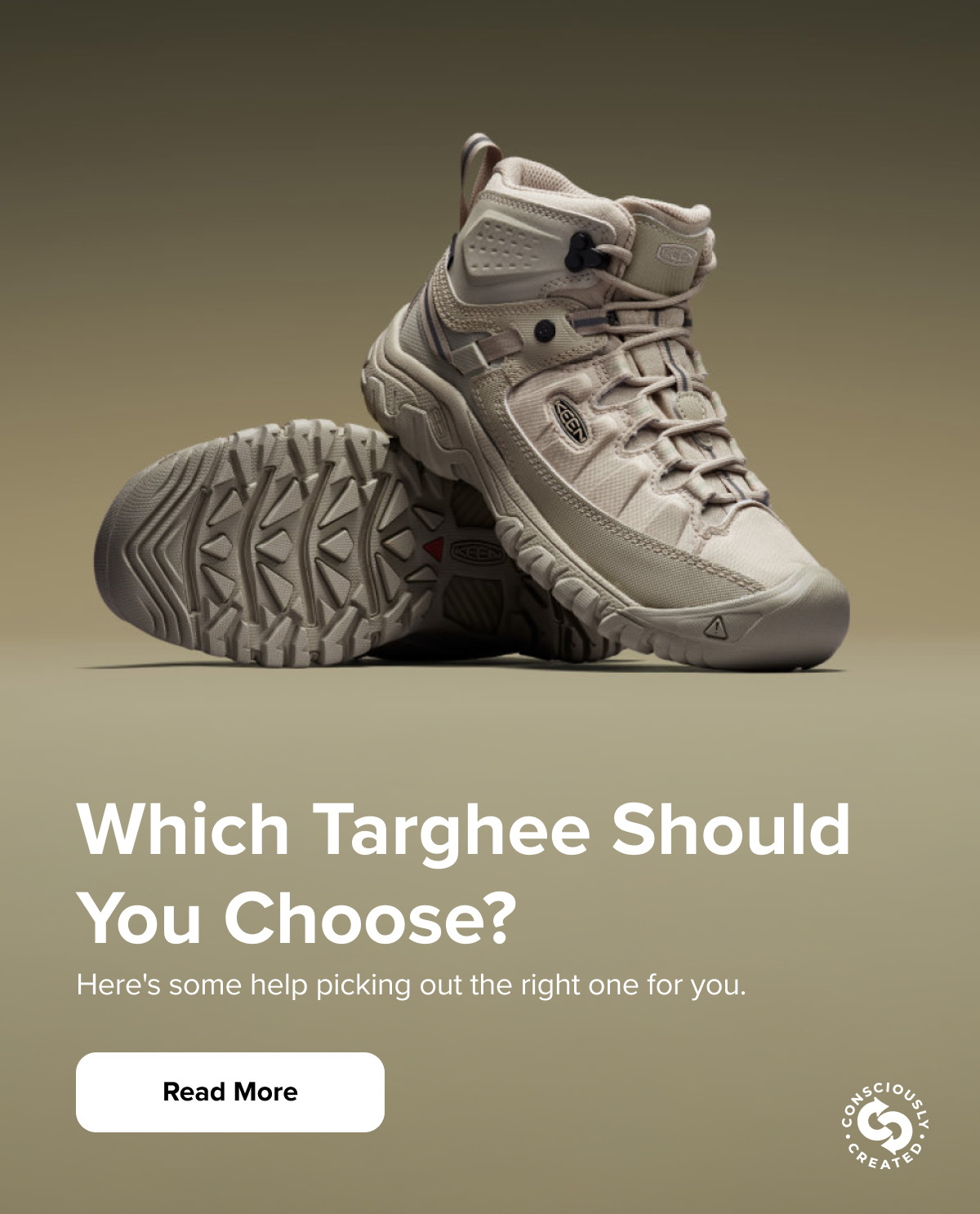 Which Targhee Should You Choose?