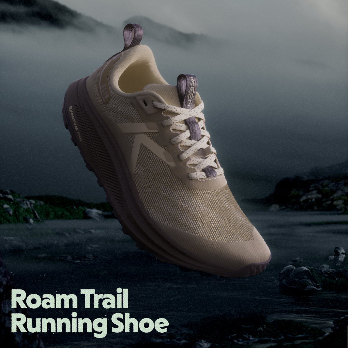 Roam Trail Running Shoe