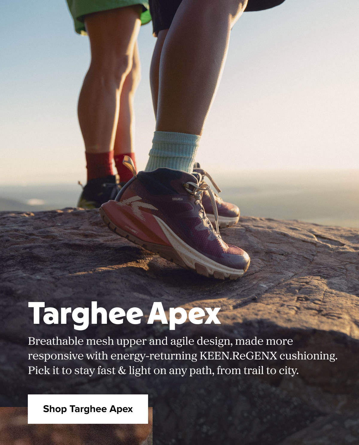 Targhee Apex