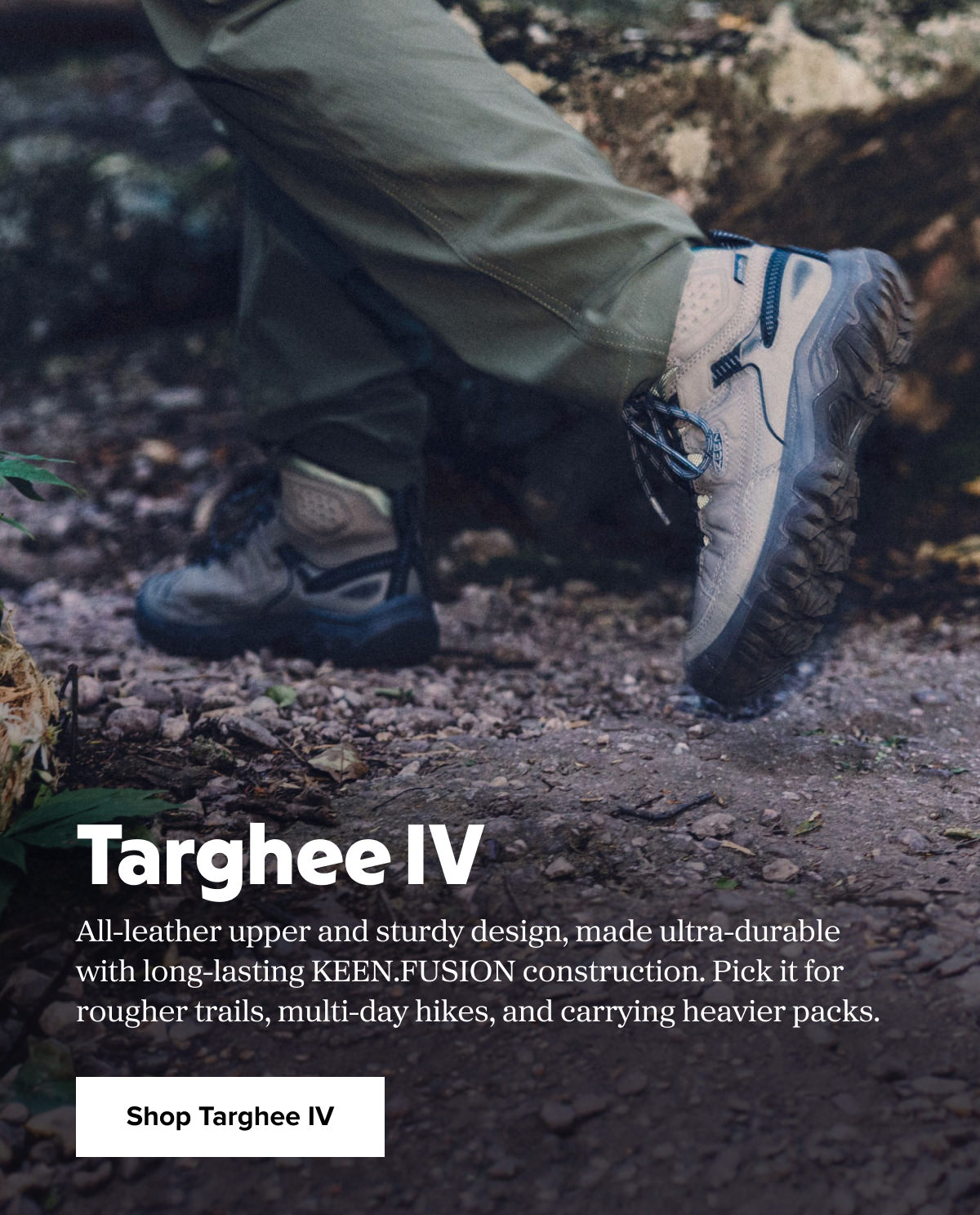 Targhee IV