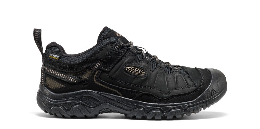 Men's Targhee IV Waterproof Hiking Shoe
