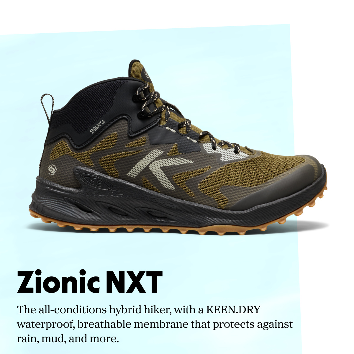 Zionic NXT