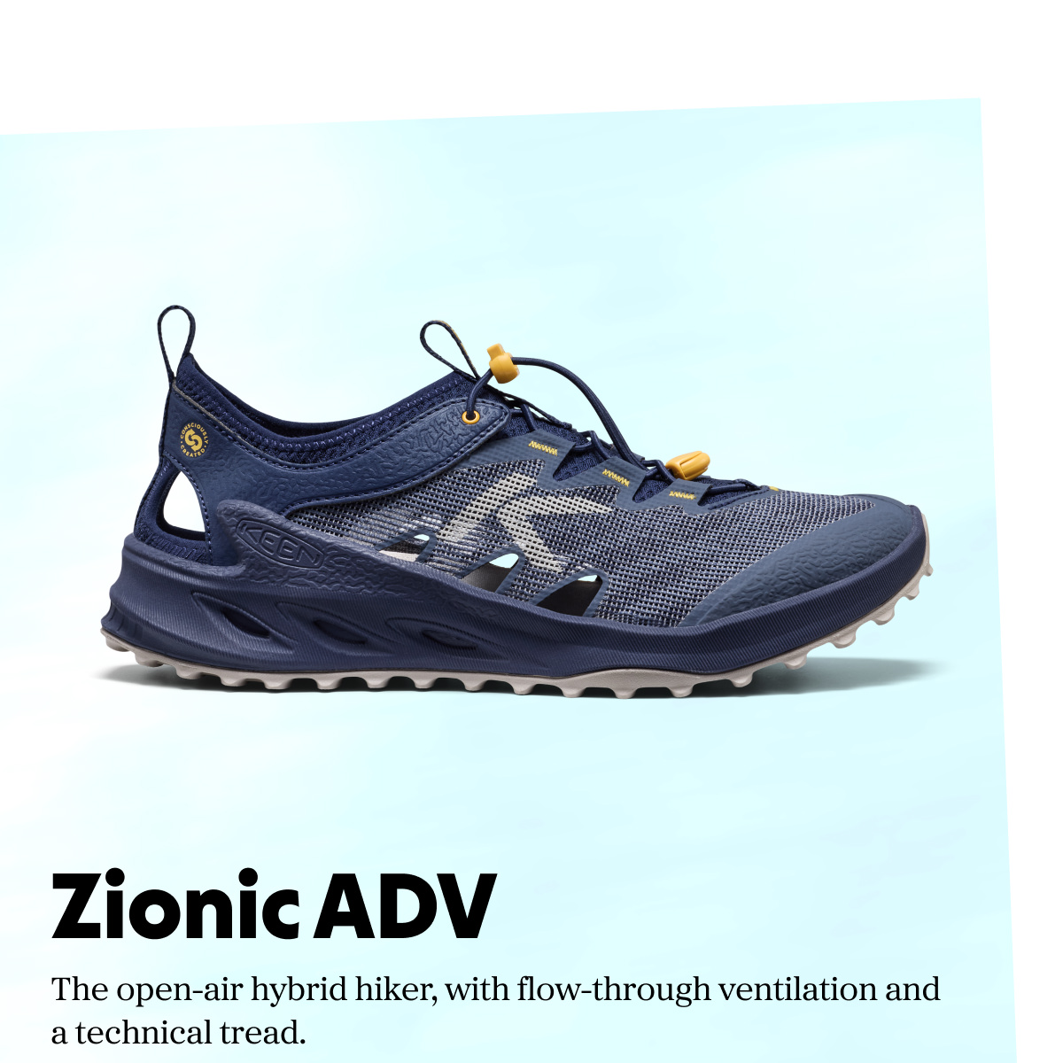 Zionic ADV
