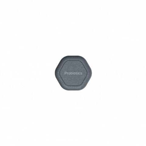 Click to shop The Capsule. GIF of The Capsule