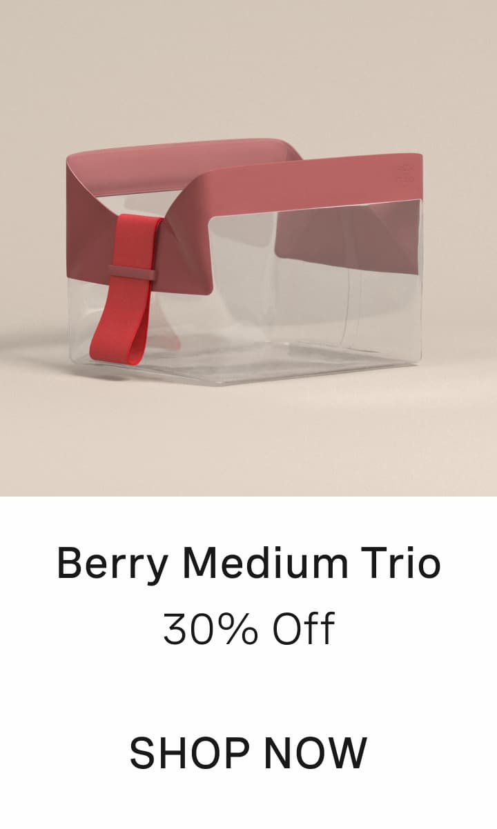 Click to shop Berry Medium Parcel