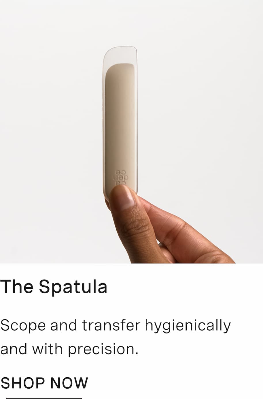 Click to shop The Spatula