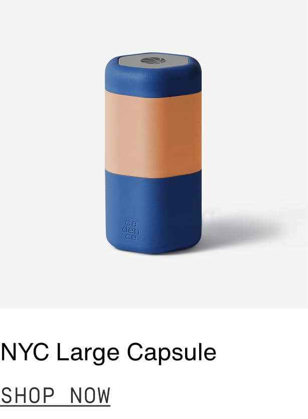 Click to shop NYC Large Capsule