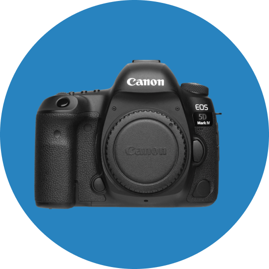 Our favorite DSLRs