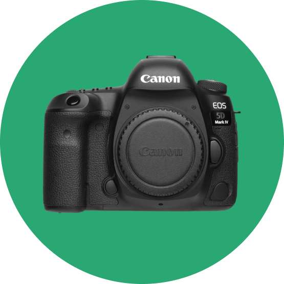 Our favorite DSLRs