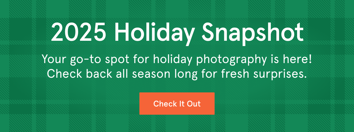 Holiday Snapshot