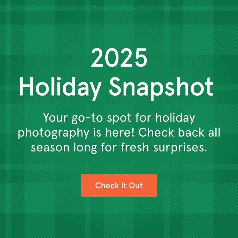 Holiday Snapshot