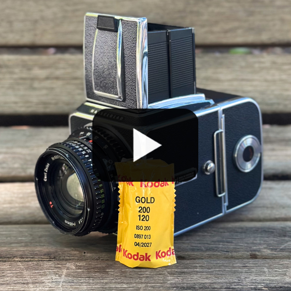 Out and About with the Panasonic G85