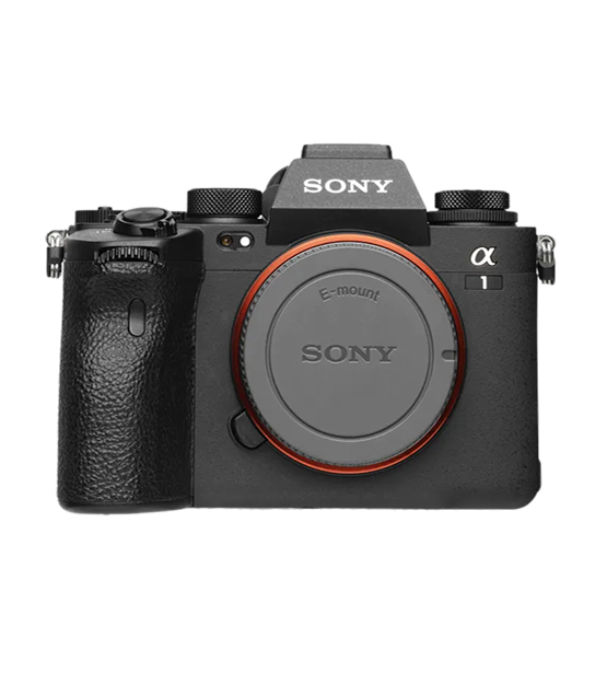 Mirrorless Cameras