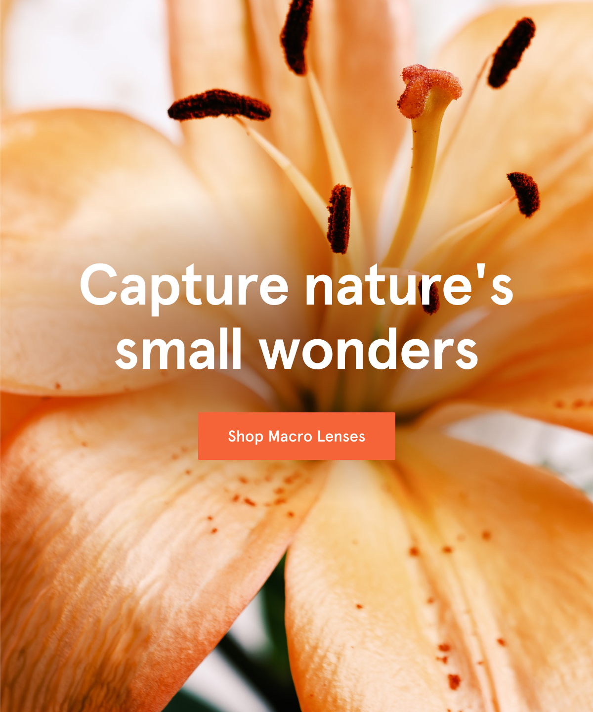 Shop Macro