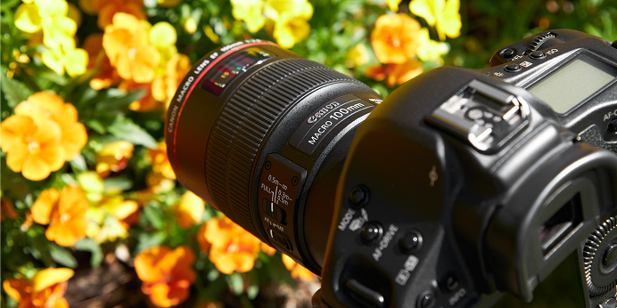 Macro Photography Buyer’s Guide