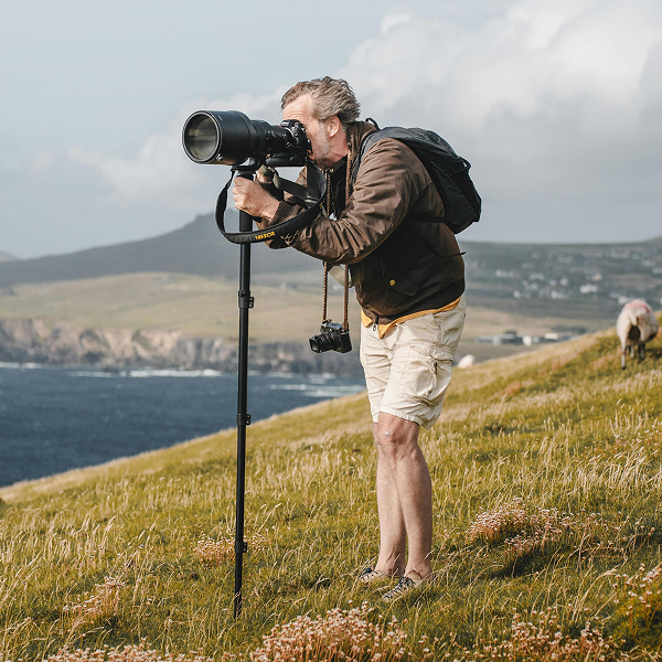 Best Cameras for Wildlife Photography