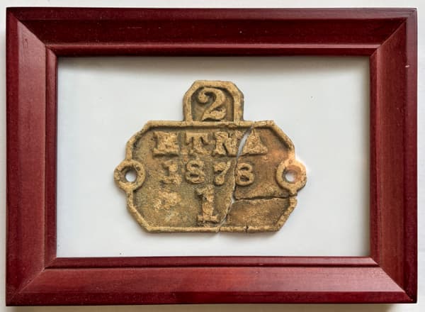 Framed 1878 Etna horse wagon license plate 