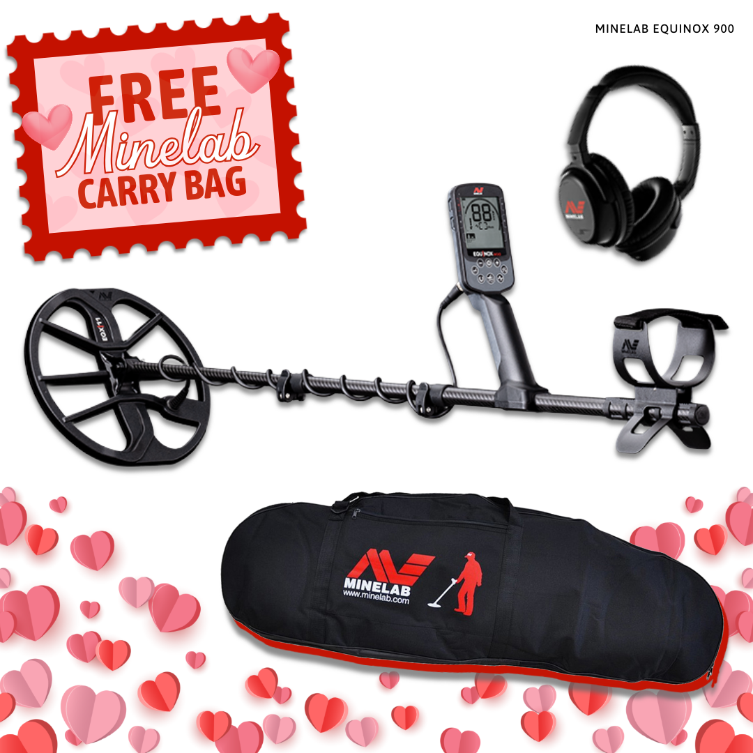 Image of Minelab Equinox 900 Metal Detector