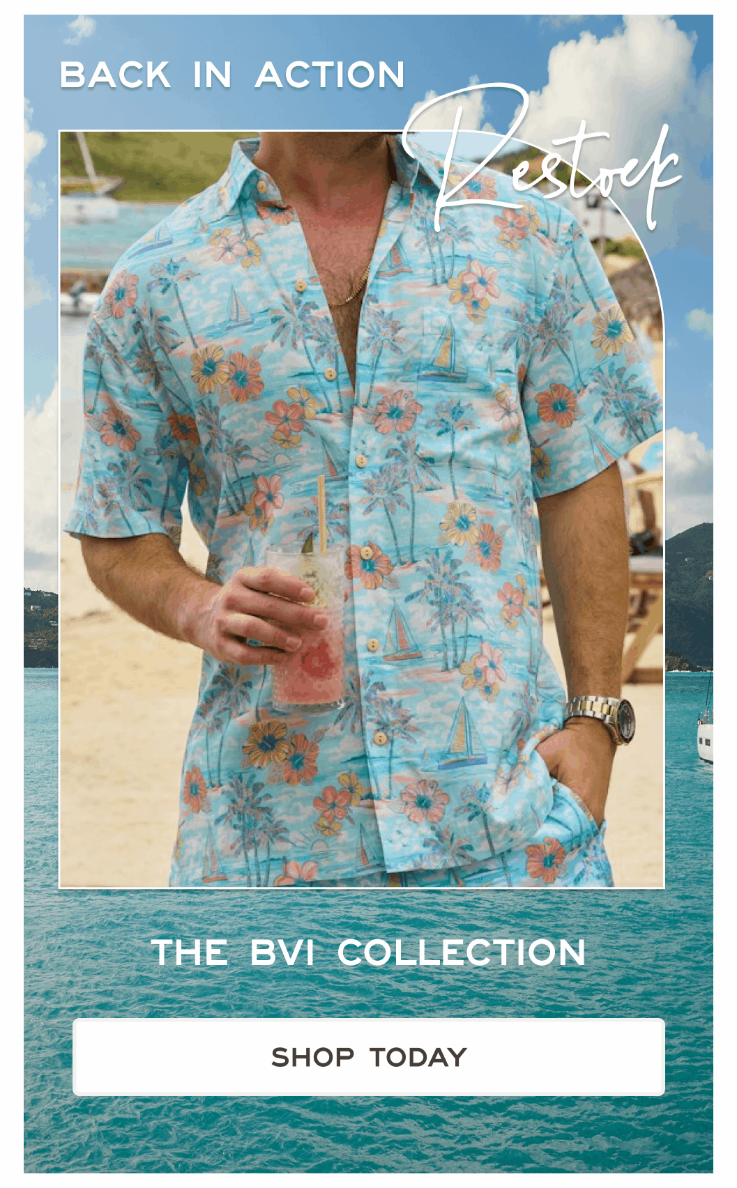 The BVI Collection