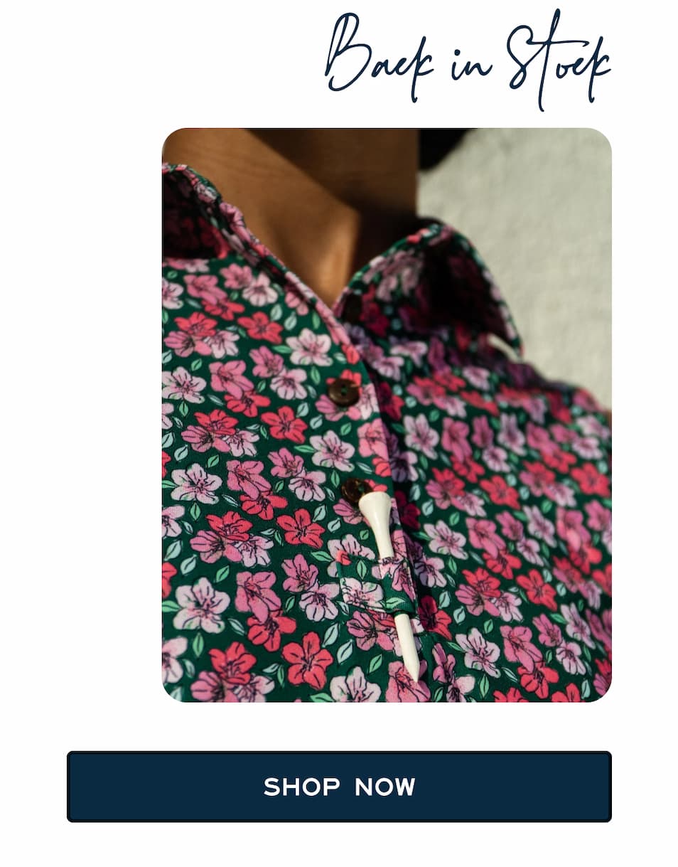 Back in Stock