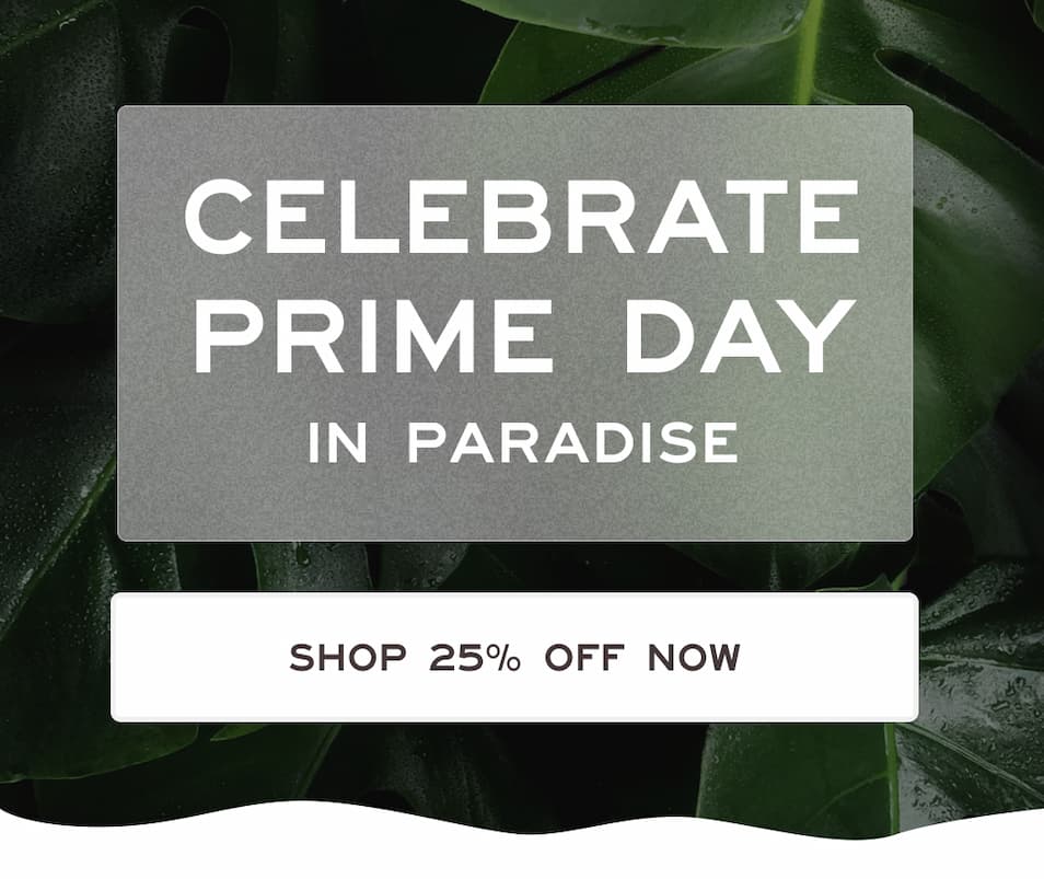 Shop 25% Off Now