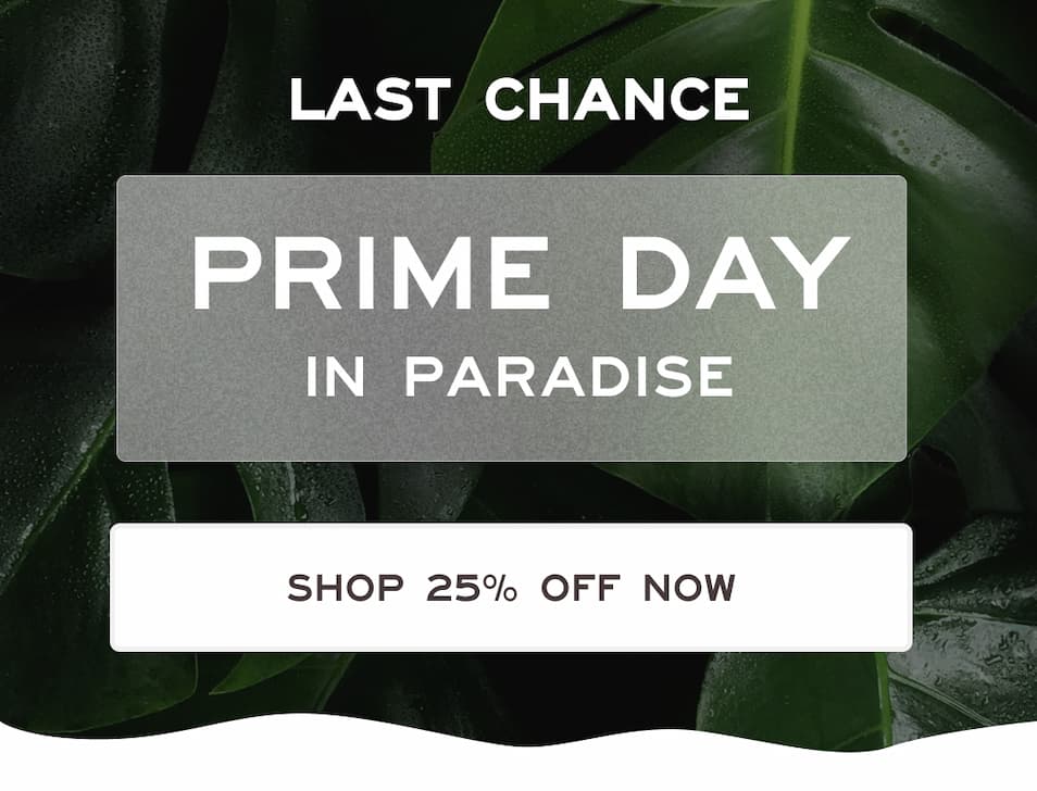 Shop 25% Off Now