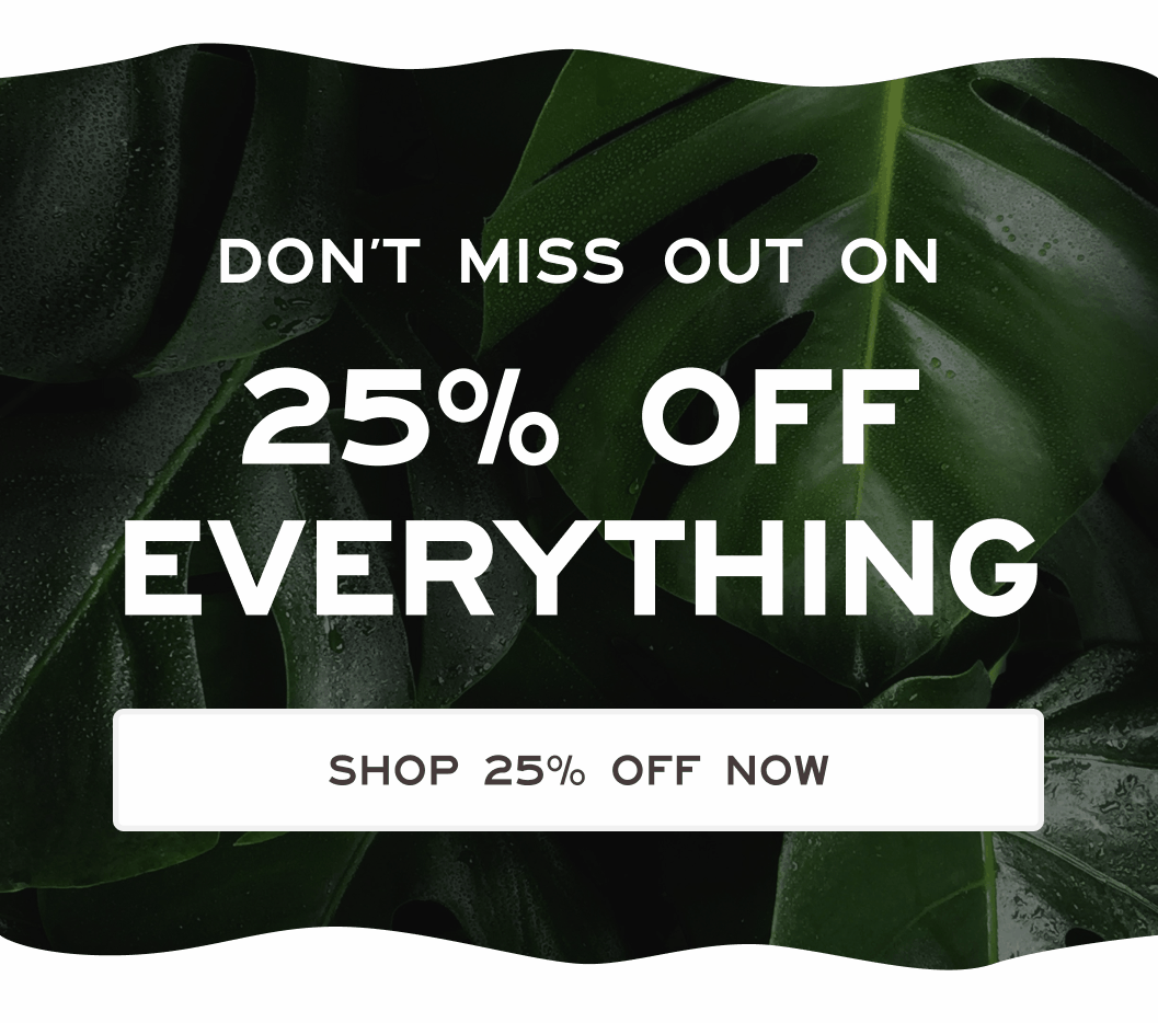 Don't miss out on 25% off everything