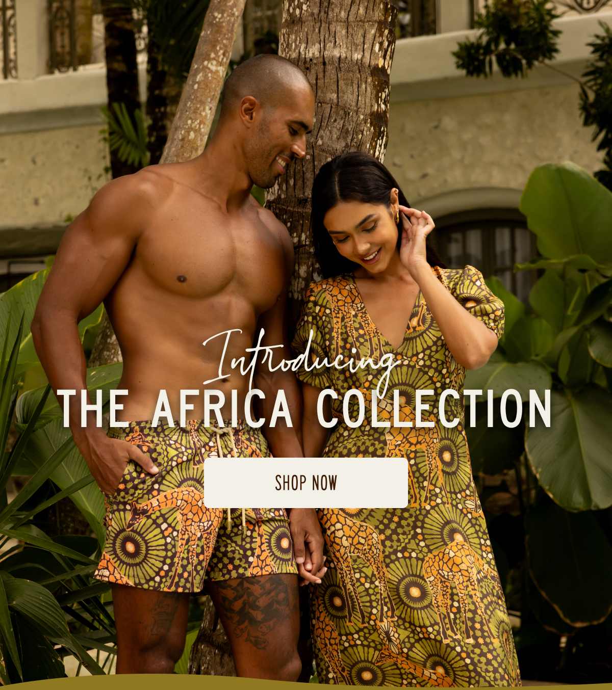 Introducing The Africa Collection. Shop Now