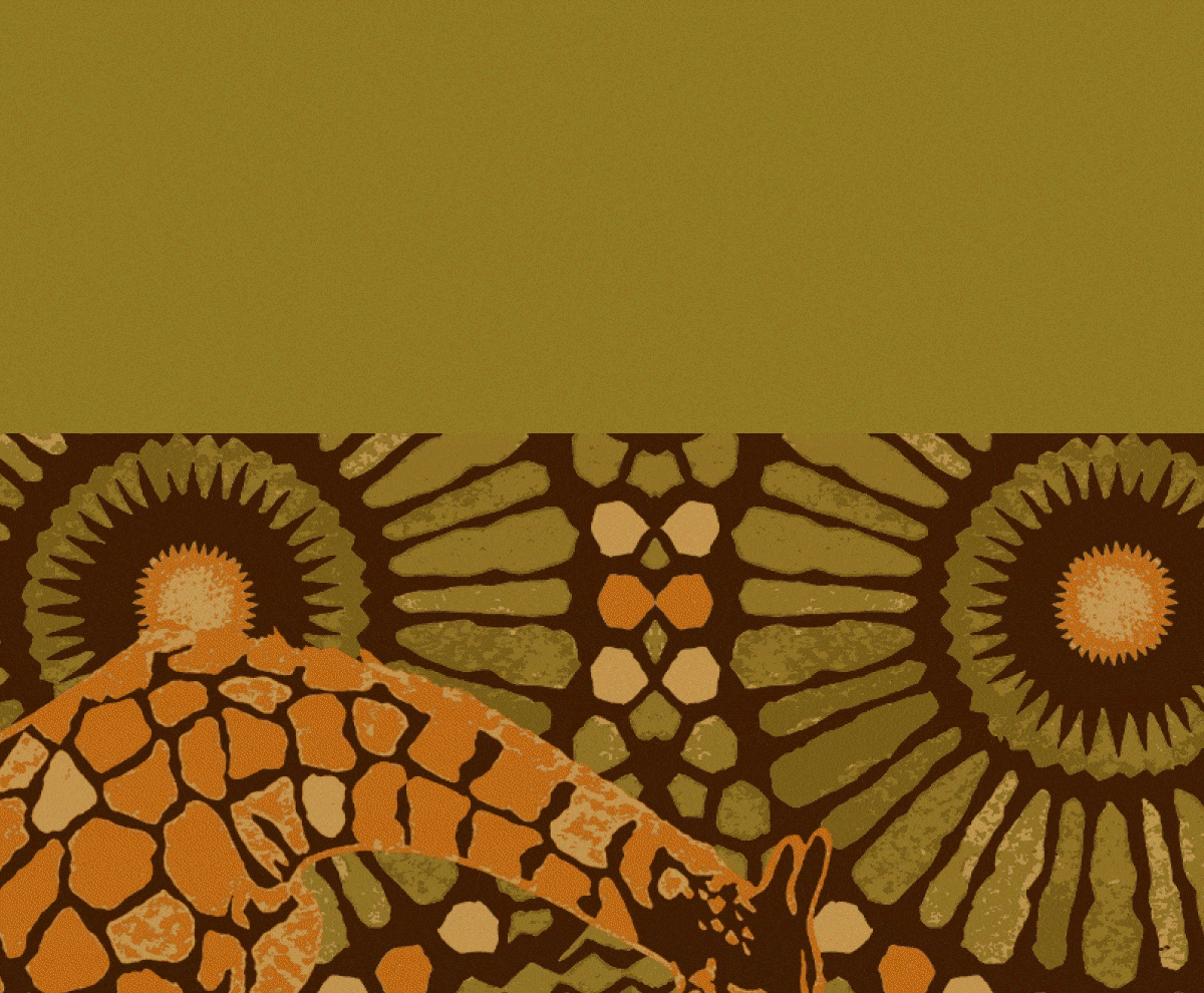 Introducing The Africa Collection | Shop Collection