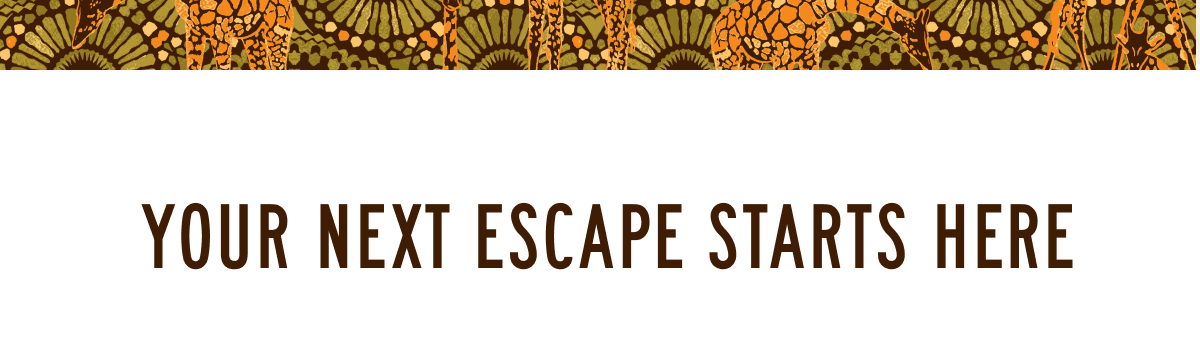 Your Next Escape Starts Here 