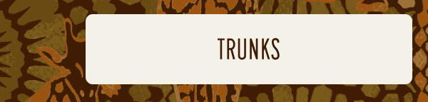Trunks 