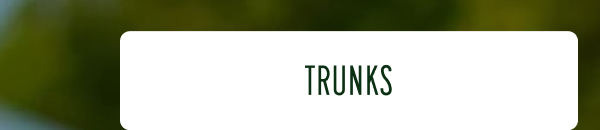 GIFTS FOR THE REST OF YOUR LIST | [TRUNKS]