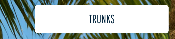 SHOP LAST-MINUTE GIFTS | [TRUNKS]
