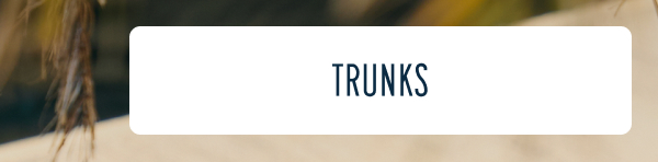 More to Love | [TRUNKS]