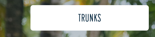 More to Love | [TRUNKS]