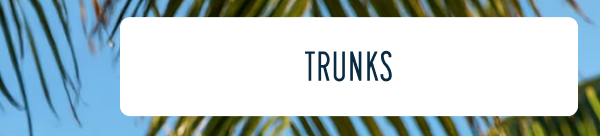 More to Love | [TRUNKS]