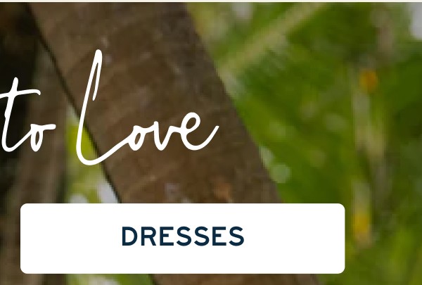 More to Love | [DRESSES]